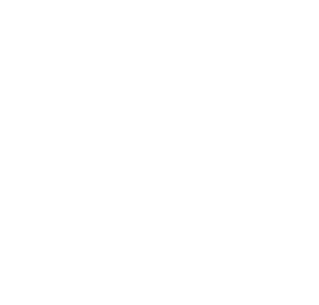 Logo Napoleon Casino